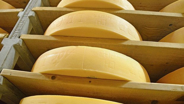 Wird kontaminierte M Wird kontaminierte Milch verkäst, kann der Landwirt für den Schaden haftbar gemacht werden. Im Fallbeispiel hätte ihn das 15 000 Franken gekostet.