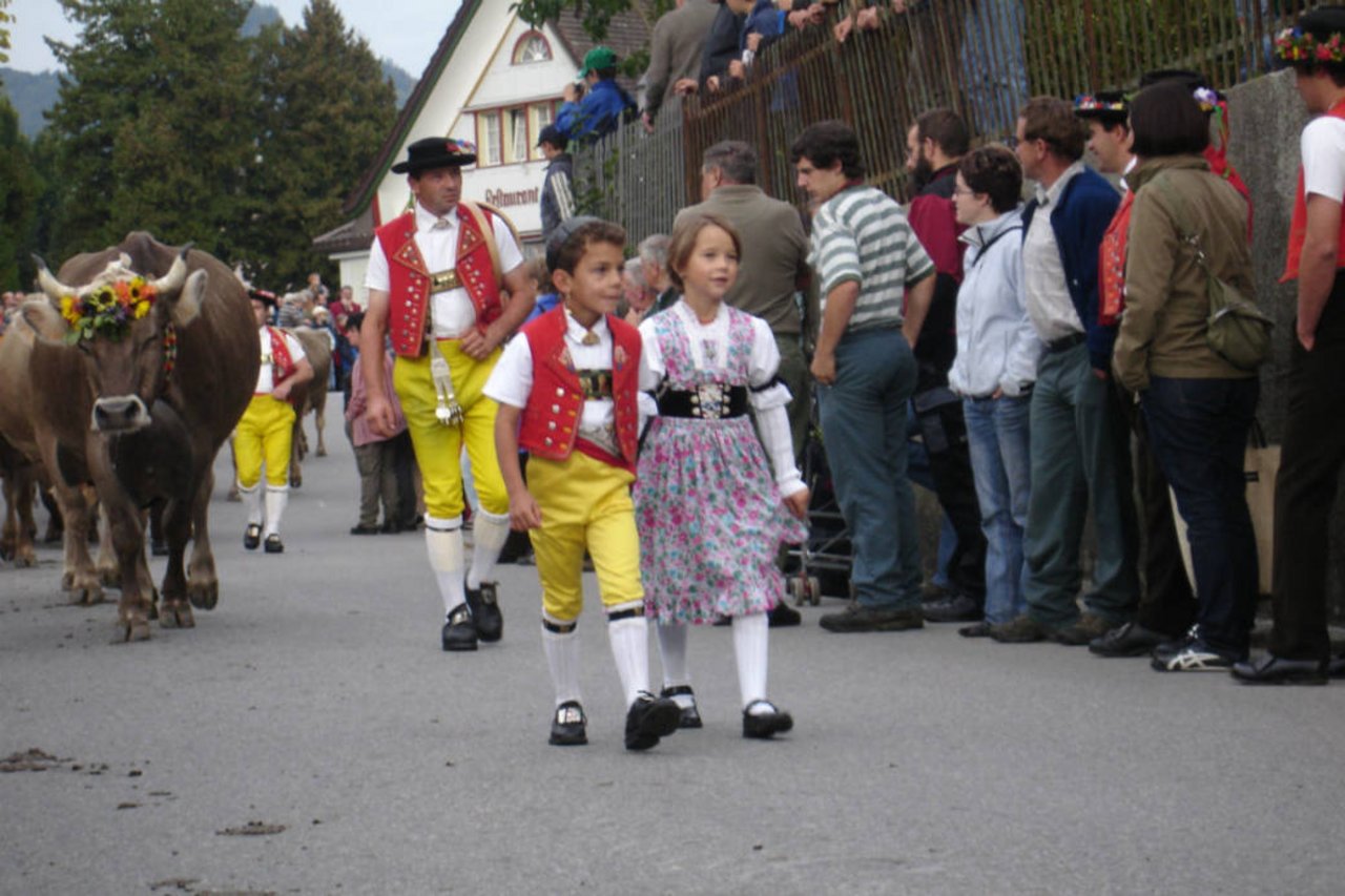 Tradition: die kantonale Viehschau. (Bild fmazenauer (CC BY-NC 2.0))
