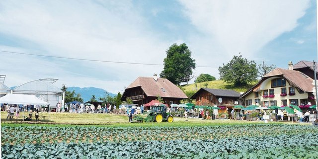 Der Gemüsebau der Familie Feller in Thierachern ist und bleibt eine grosse Leidenschaft.