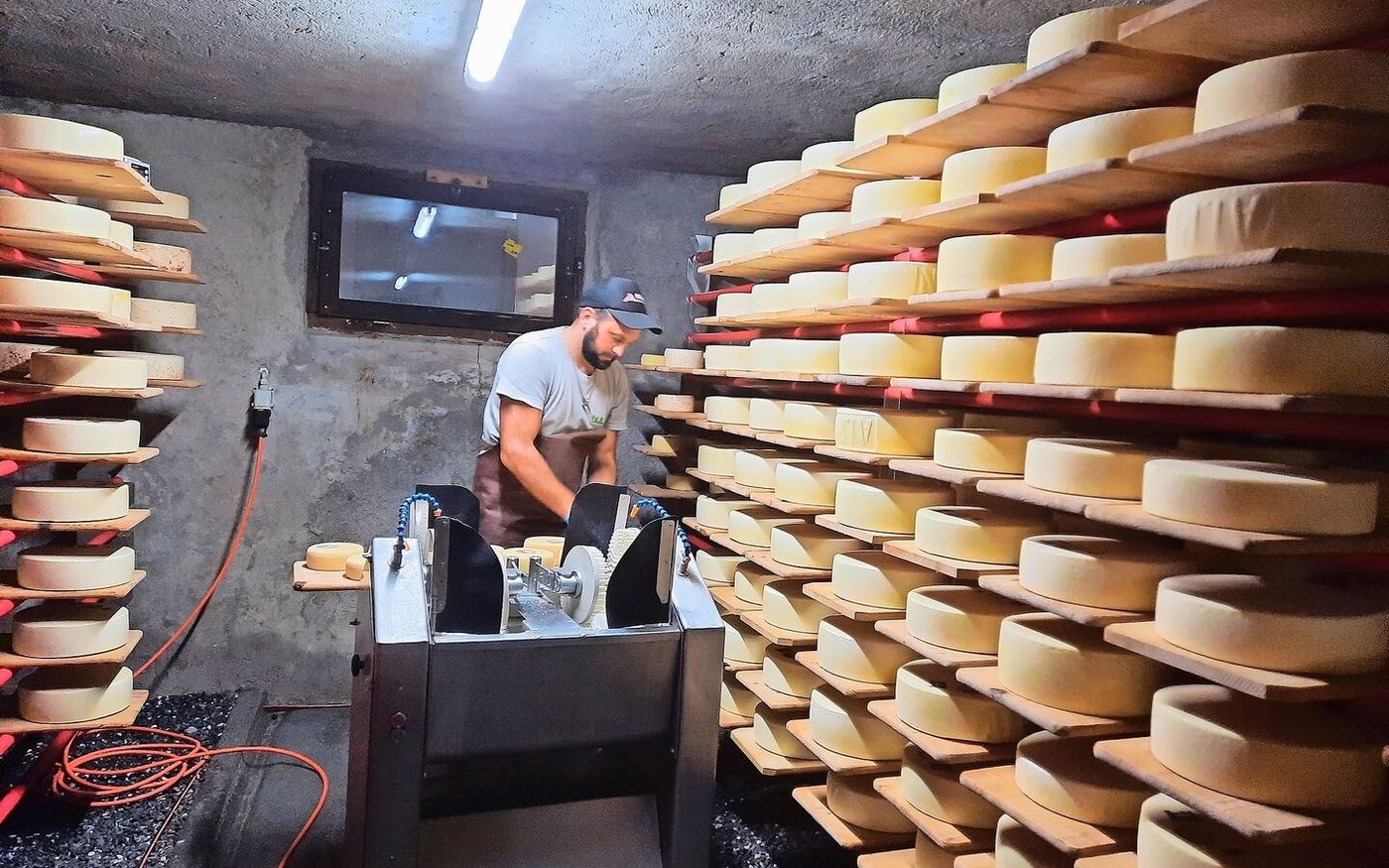 Hier spielt der Nebel keine Rolle: Senn Reto schmiert die Käselaibe, langsam füllt sich der Keller.