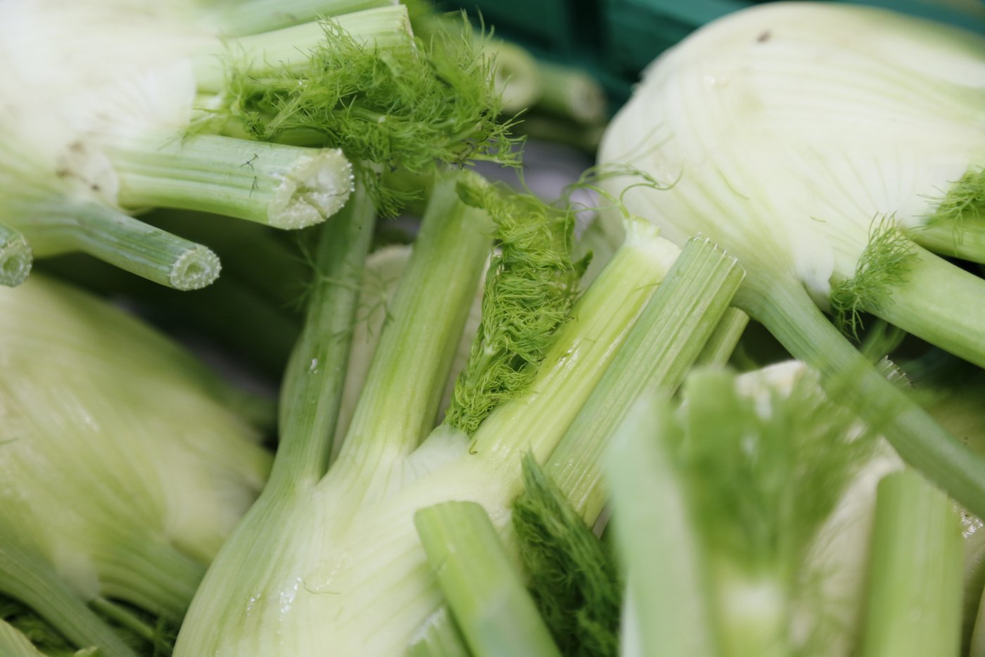 Der Fenchel ist eine wahre Vitamin-C-Bombe. (Bild ji)