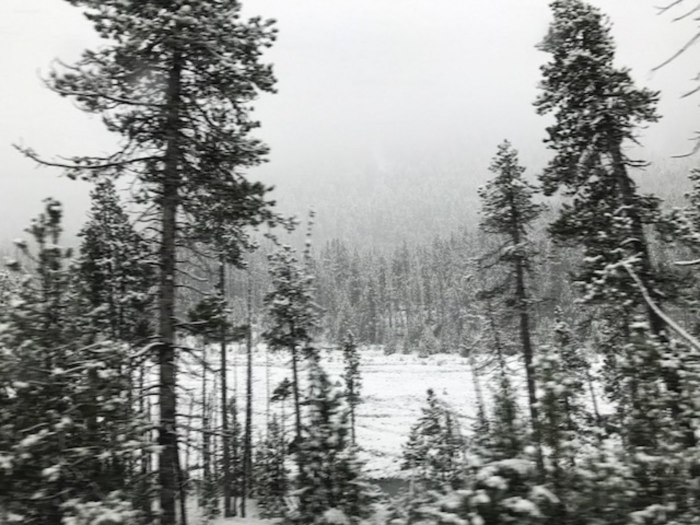So oder ähnlich dürfte es morgen vielerorts in höheren Lagen aussehen. (Bild akr)