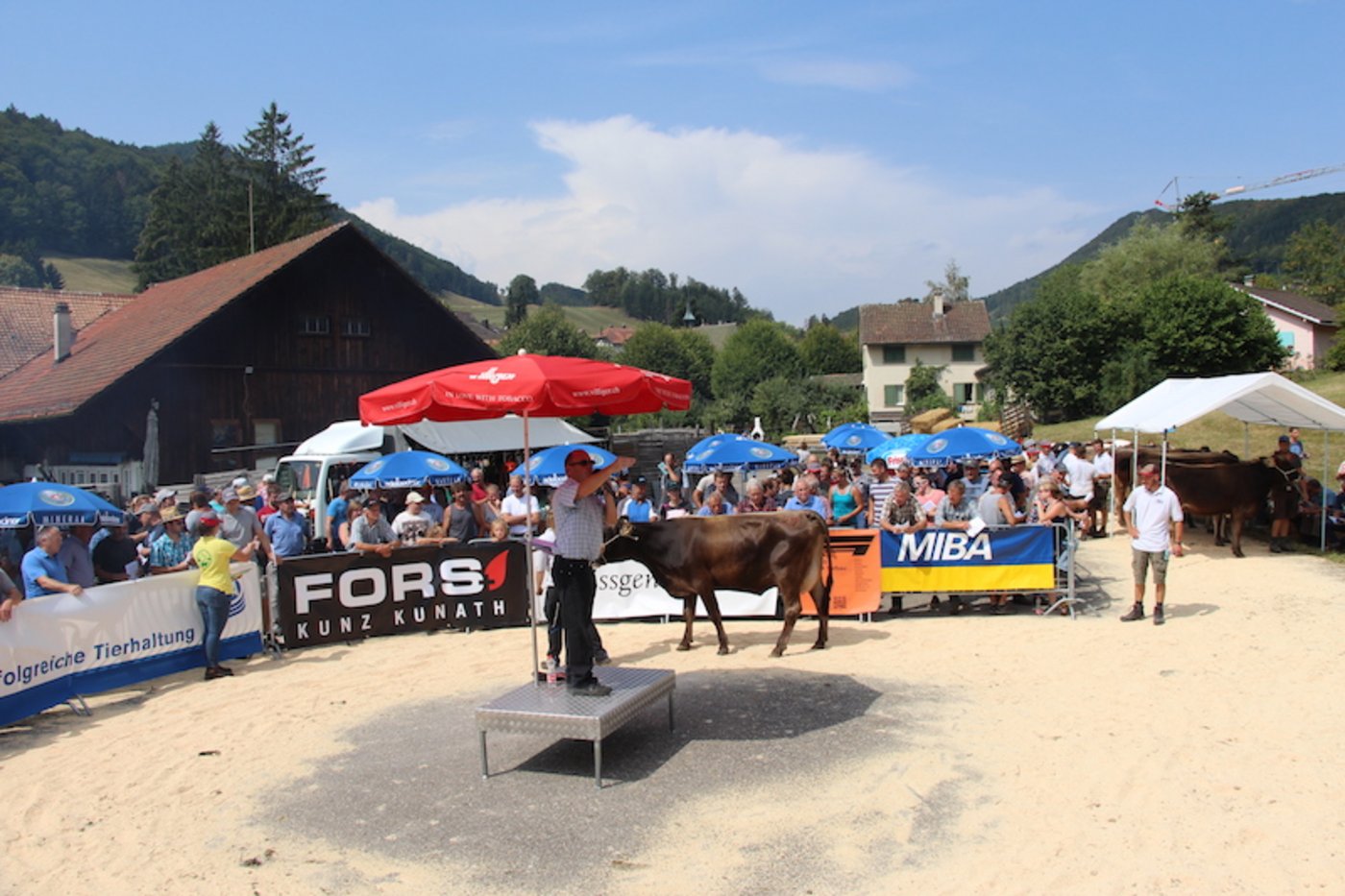 Andreas Aebi versteigert unter Sonnenschirm.
