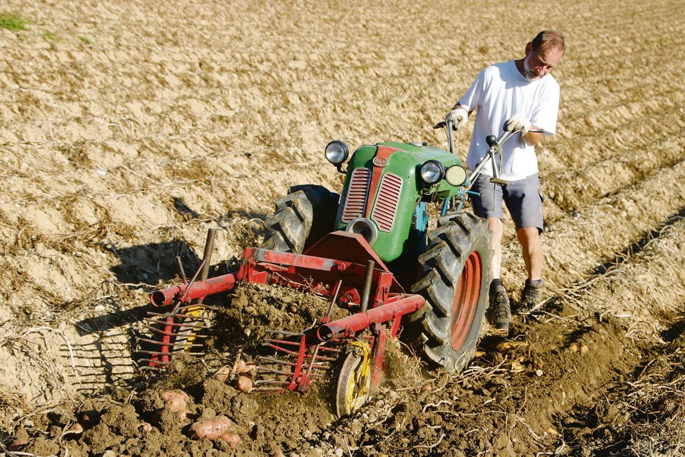 Der Rapid S ist ein treuer Begleiter von Hansueli Schoch aus Benken. Hier setzt er ihn für das Graben von Kartoffeln ein.(Bild Roland Müller)