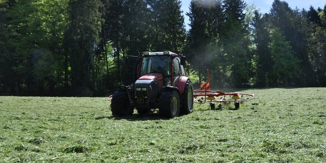 Die Heuernte fiel heuer vielerorts klein aus. (Bild Nadine Baumgartner)