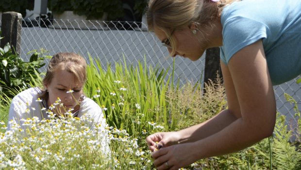 Absolventinnen der Bäuerinnenschule im Modul Gartenbau am BBZN Schüpfheim. (Bilder Andrea Gysin)