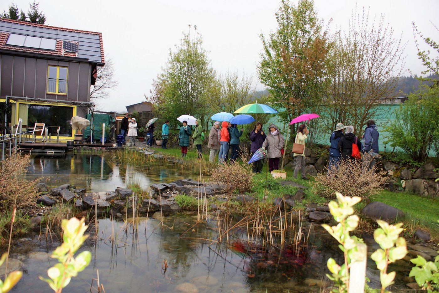 Die beeindruckende Gestaltung und Artenvielfalt des naturnahen Garten der Familie Schwery weckt das Interesse. (Bild Sandra Steffen)