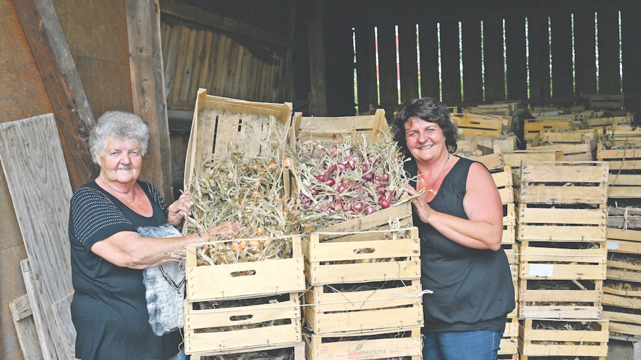 Die Zwiebeln wären parat. Doch heuer wird es viel weniger Trütsche brauchen, da der Berner Zibelemärit abgesagt ist. Hanni Iseli (links) und Gaby Iseli, eine der drei Töchter auf dem Familienbetrieb Iseli, lassen sich trotzdem das Lachen nicht nehmen. (Bild Andrea Wyss)