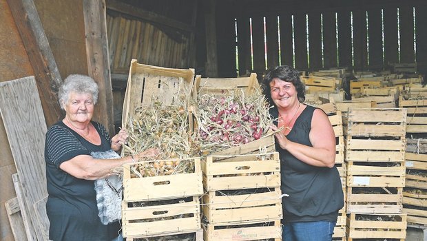 Die Zwiebeln wären parat. Doch heuer wird es viel weniger Trütsche brauchen, da der Berner Zibelemärit abgesagt ist. Hanni Iseli (links) und Gaby Iseli, eine der drei Töchter auf dem Familienbetrieb Iseli, lassen sich trotzdem das Lachen nicht nehmen. (Bild Andrea Wyss)