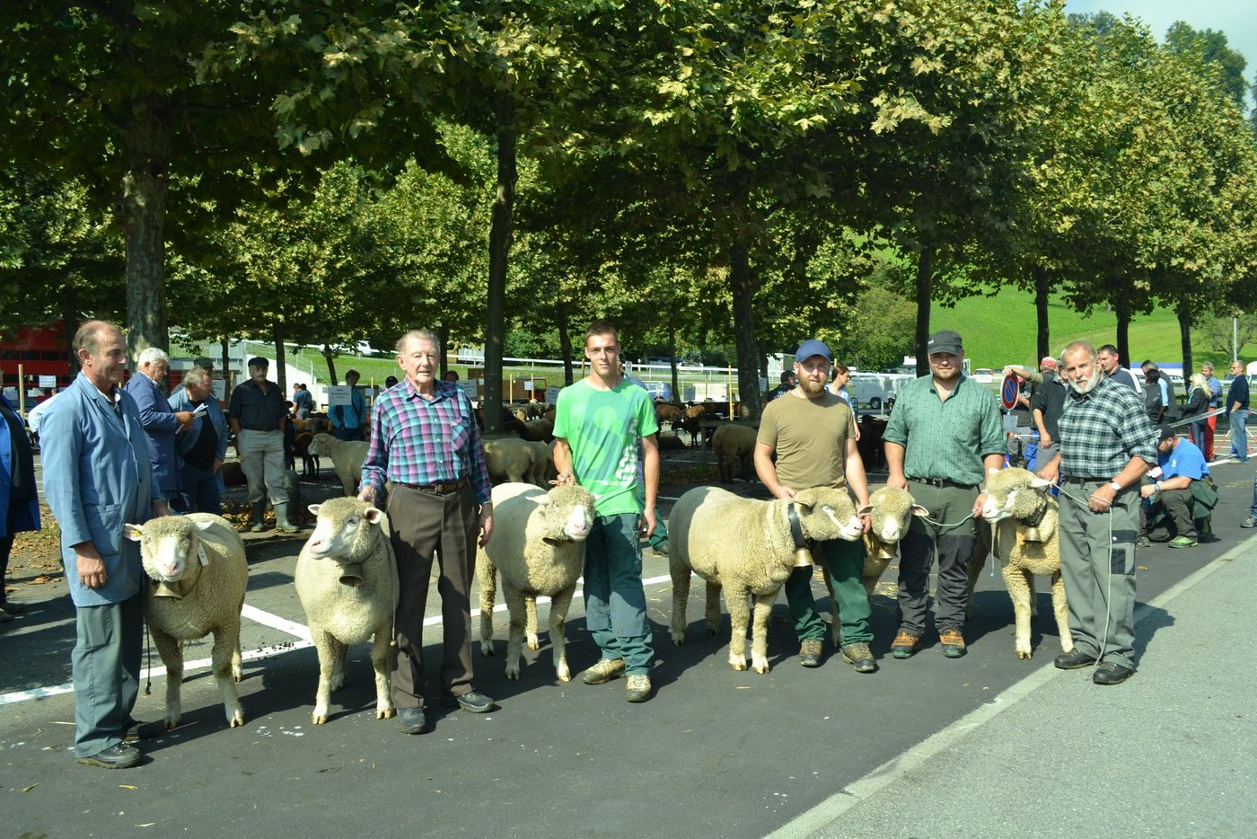 Beim Betriebscup bei der Rasse des Weissen Alpenschafes gewannen die Giswiler Alfred Abächerli (Gruppe links) und Ruedy und Chrigu Wolf mit der gleichen Punktzahl. (Bild Paul Küchler)