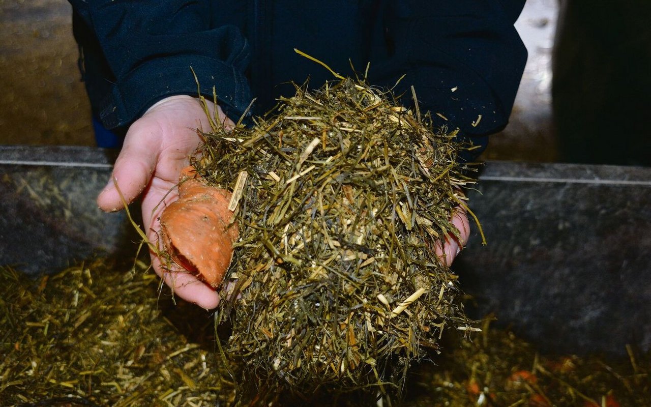 TMR sorgt für eine naturnahe Schweinefütterung.