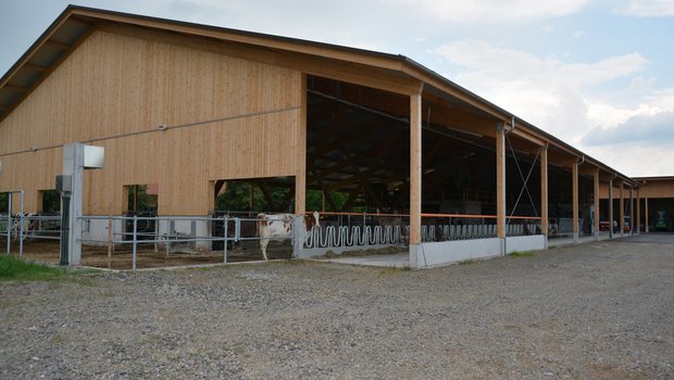 Herzstück auf dem Gutsbetrieb Chamau. Neue Milchviehscheune für 75 Kühe. (Bilder Joseph Scherer)