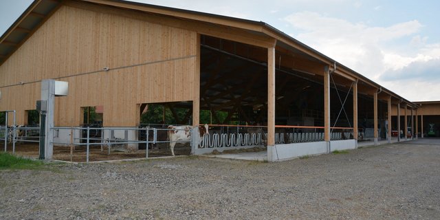 Herzstück auf dem Gutsbetrieb Chamau. Neue Milchviehscheune für 75 Kühe. (Bilder Joseph Scherer)