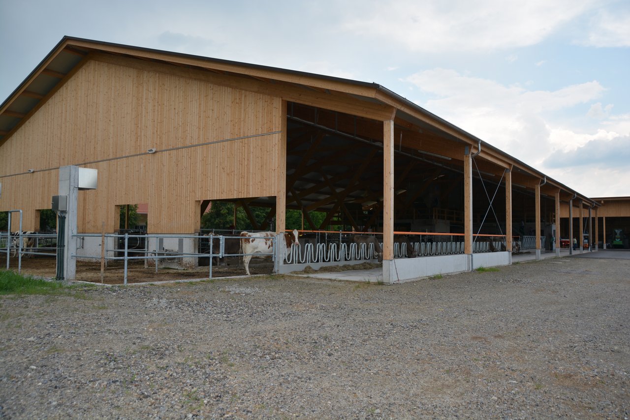 Herzstück auf dem Gutsbetrieb Chamau. Neue Milchviehscheune für 75 Kühe. (Bilder Joseph Scherer)