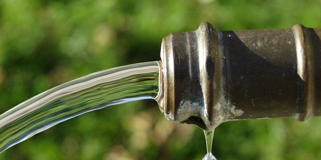 Chlorothalonil steht im Verdacht, Krebs zu erregen. (Bild Pixabay)