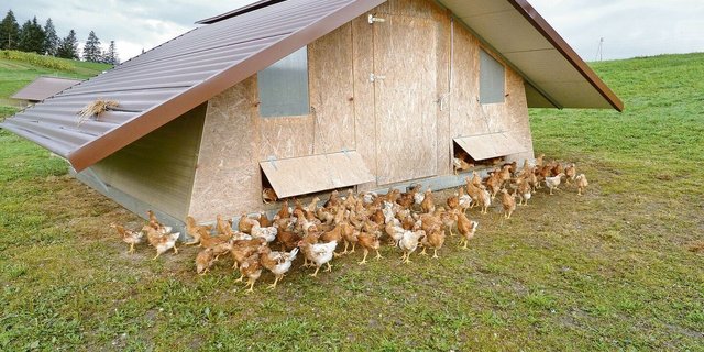 Was gilt als Werk, was als Gebäude? Dieser mobile Hühnerstall ist kein Gebäude, weil er nicht fest am Boden verankert ist. Das ist ein wichtiges Detail.