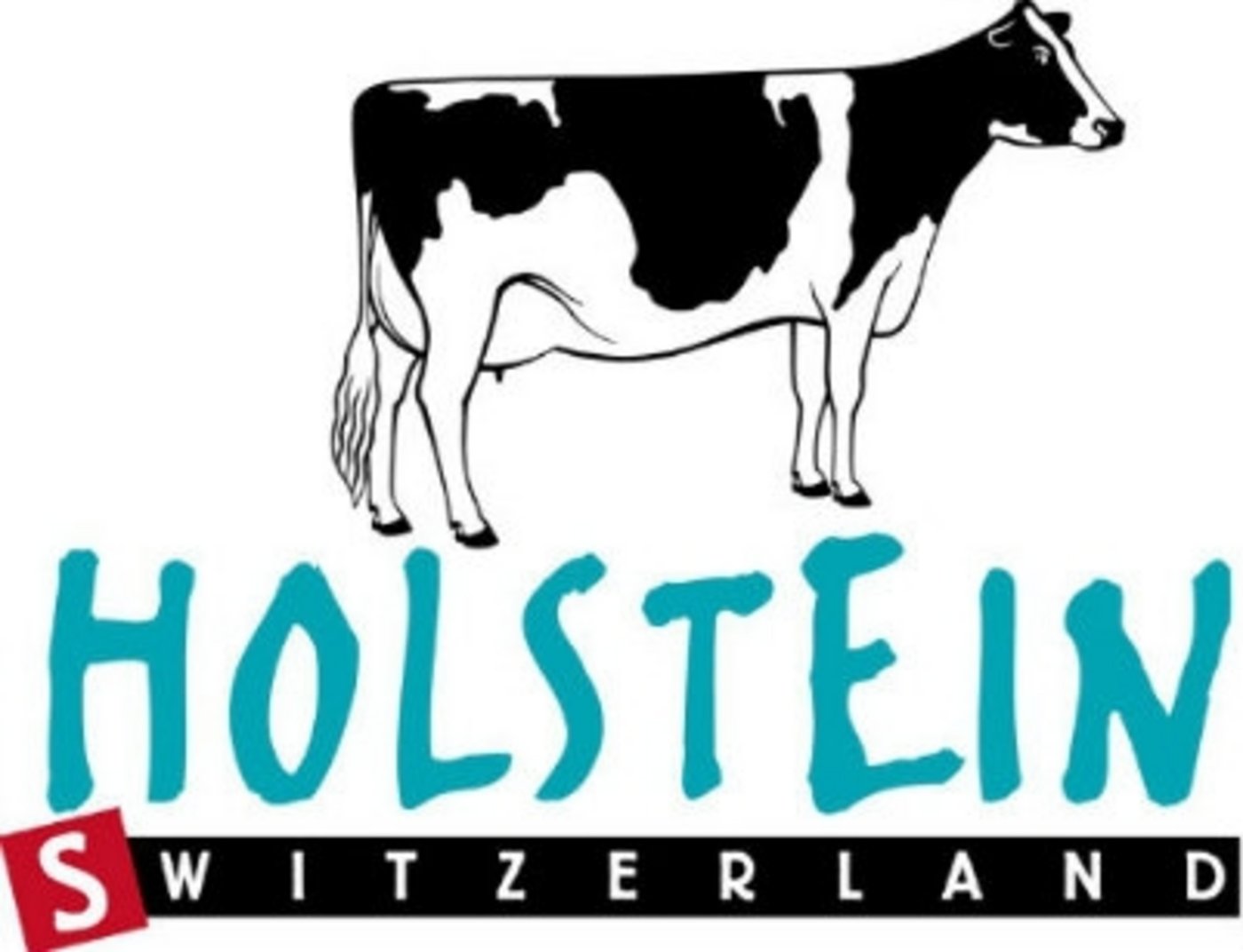 Der Schweizerische Holsteinzuchtverband hat einen Betrug eines Züchters aufgedeckt. (Bild zVg)