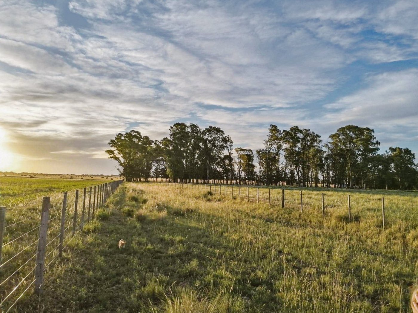Tornquist liegt im Südosten der Provinz Buenos Aires in Argentinien und zählt knapp 12?000 Einwohner. Die Lebenshaltungskosten seien tief, was dieses Auswanderungsziel attraktiv macht. (Bild Familie Tschol)
