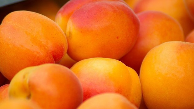 Früchte mit roten Backen sind bei Schweizerinnen und Schweizern beliebter als ganz orange Aprikosen. (Bild jackmac34/Pixabay)
