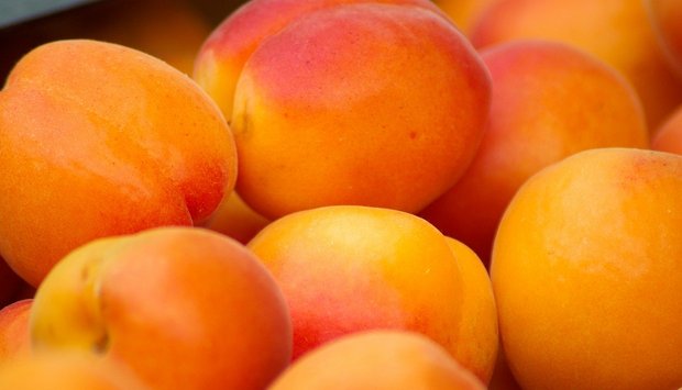 Infografik: Die Schweizer Aprikosenernte Früchte mit roten Backen sind bei Schweizerinnen und Schweizern beliebter als ganz orange Aprikosen. (Bild jackmac34/Pixabay)