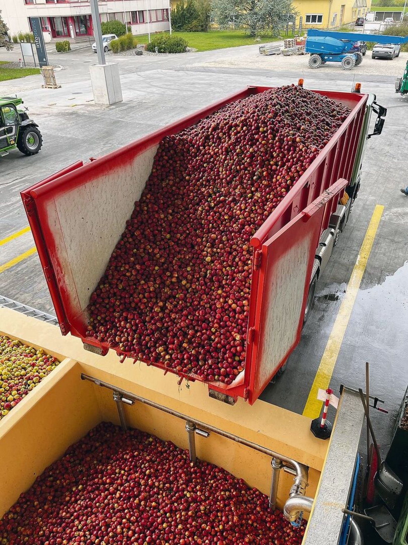 Diesen Herbst nimmt der Holderhof in Sulgen 2000 bis 4000 t entgegen. Dann wird hochgefahren auf 15 000 t Mostobst.