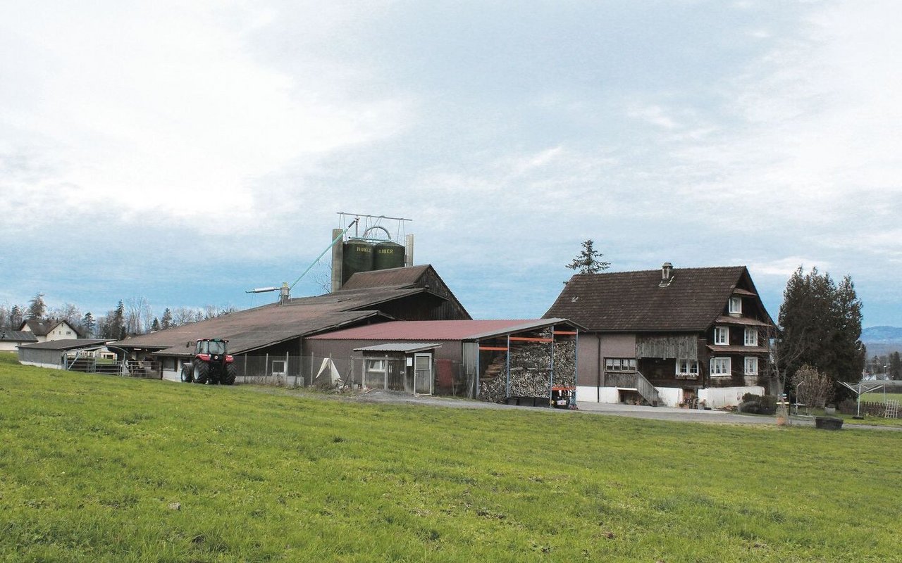 Der Ludihof ist vielseitig ausgerichtet: Rindermast, Legehennen, Acker- und Futterbau sowie Beeren und Früchte.