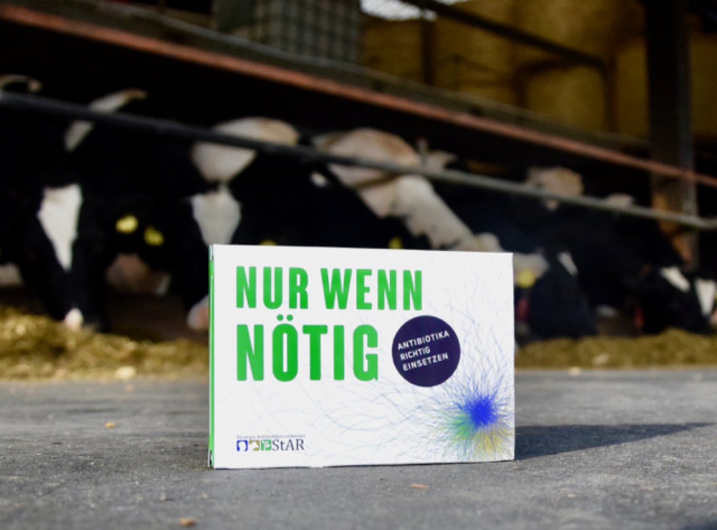 Im professionellen Milchviehstall in Moosseedorf werden so wenig Antibiotika wie nötig eingesetzt. Dank systematischem Arbeiten. (Bild jba)