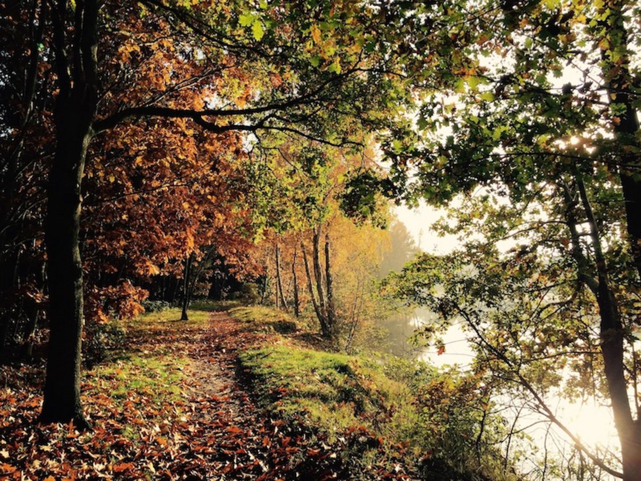 Der Herbst ist da und mit ihm wechselt das Wetter. (Symbolbild Pixabay)