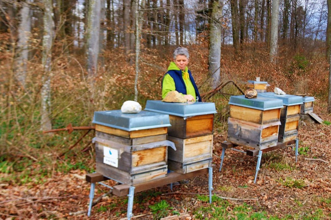 Die geschädigte Susanne Wepfer sorgt sich ums Überlegen ihrer Bienenvölker.