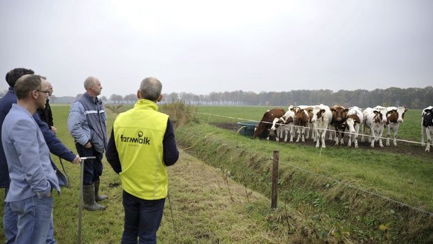 Bauern und Kühe müssen sich an die wieder aufkommende Haltungsform gewöhnen. (Bilder mvw)