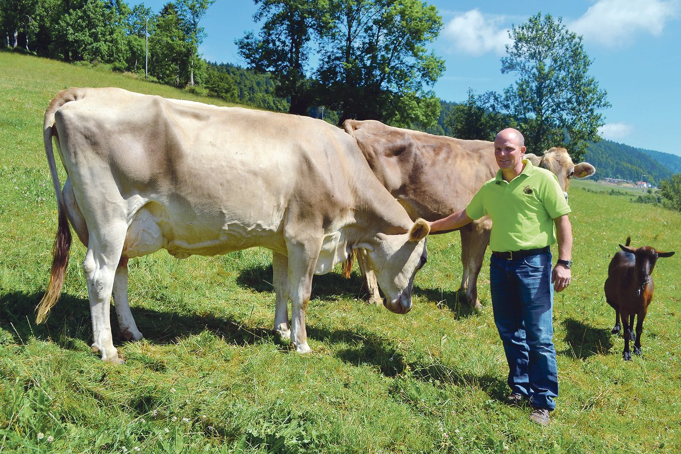 Die Kühe von Cédric Schärz sind im Sommer den Tag durch auf der Weide. Hier steichelt er seine Pablo-Tochter Davina EX-93.