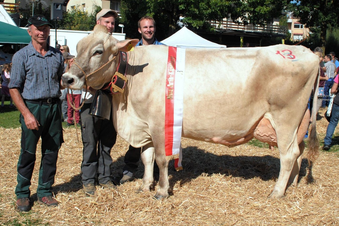 Die neue Miss Küssnacht: Alonso Arosa von Werner Niederberger, Küssnacht, mit bereits über 40 000 kg Milch. (Bilder Franz Philipp)