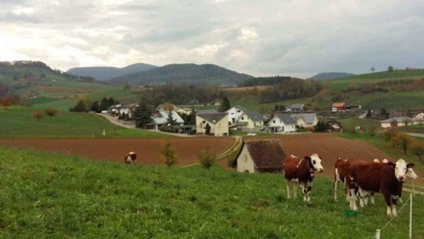 Die  Initiative der Jungen Grünen fordert, dass Bauzonen eingefroren werden. (Bild zersiedelung-stoppen.ch)