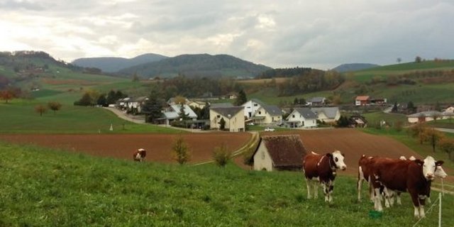 Die  Initiative der Jungen Grünen fordert, dass Bauzonen eingefroren werden. (Bild zersiedelung-stoppen.ch)