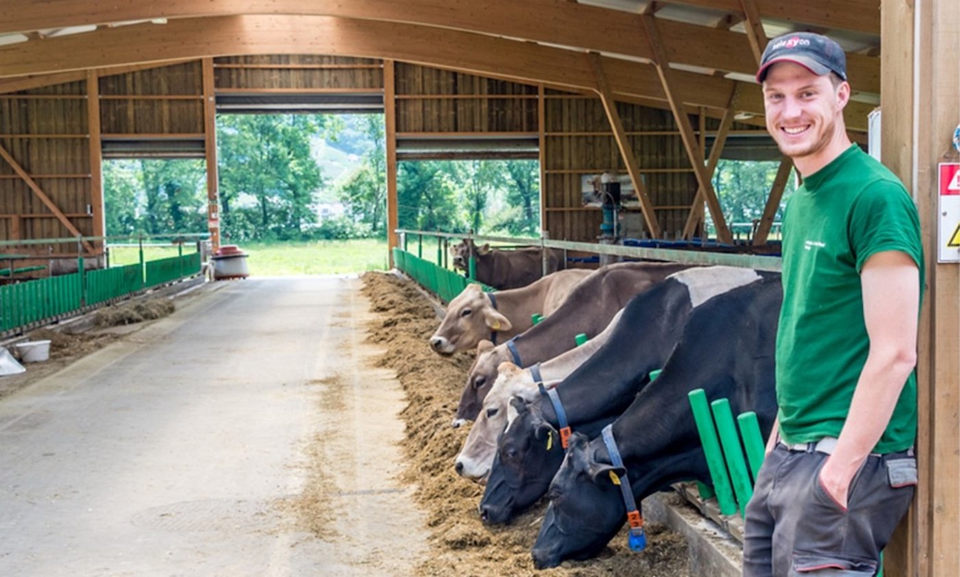 Adrian Feitknecht betreibt die Masseria Ramello in Cadenazzo TI. (Bilder hja)