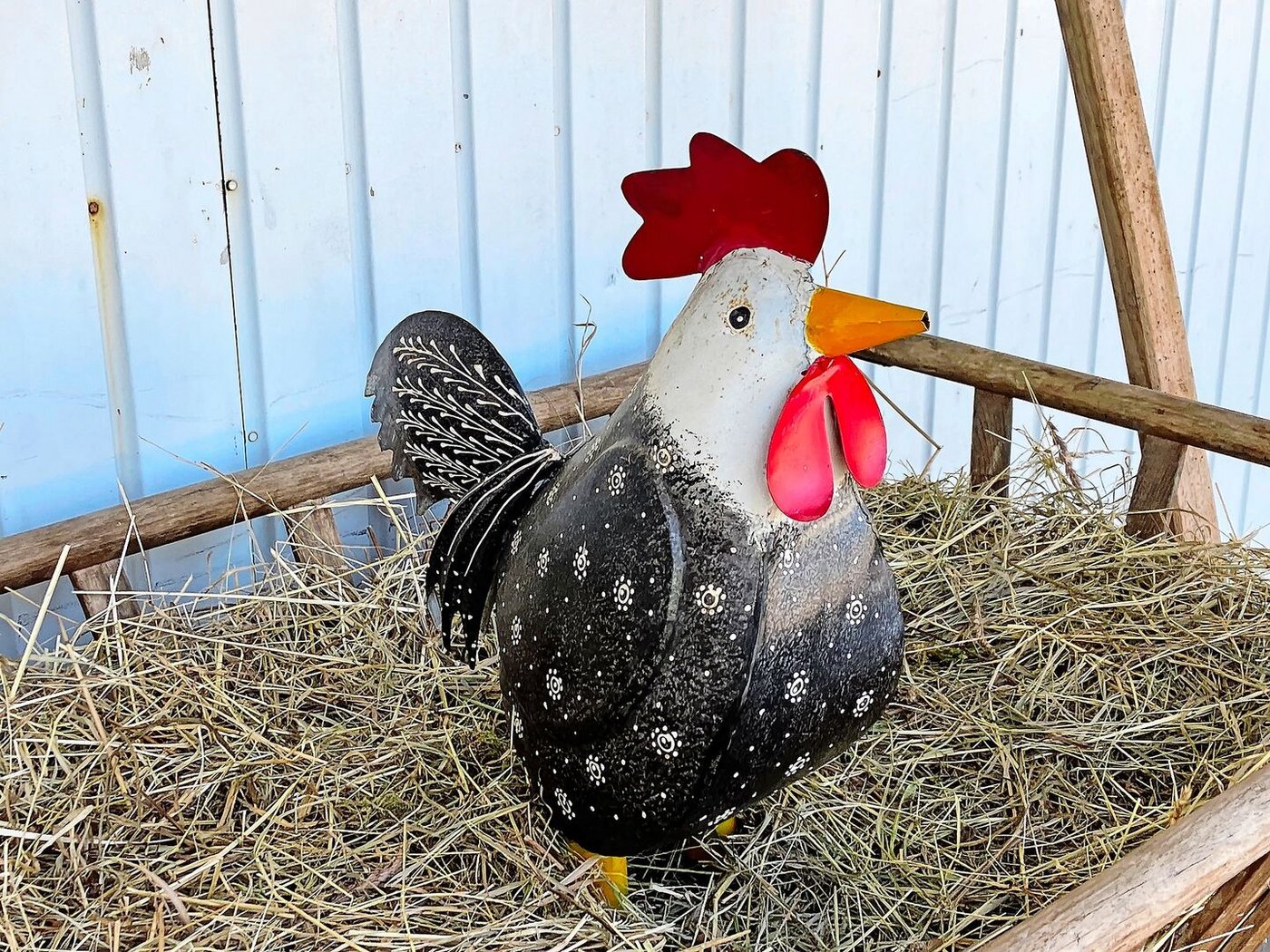 Dieser stolze Güggel ziert den neu geplanten Hofladen.