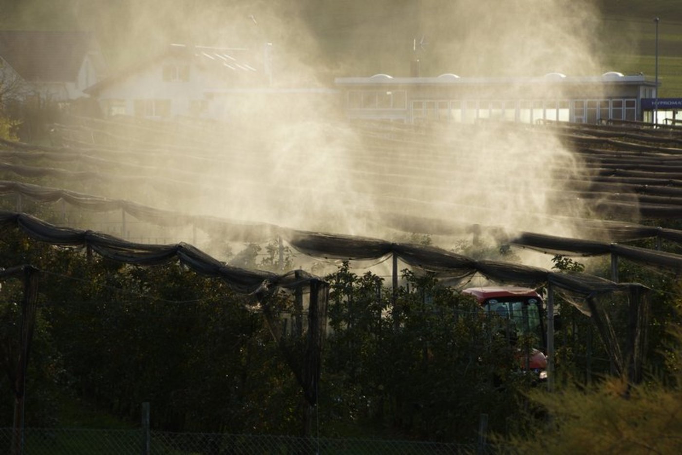 Im Gegensatz zum Feld- und Gemüsebau gäbe es für Hochrisiko-PSM im Obstbau in den meisten Fällen Alternativen. (Bild BauZ)