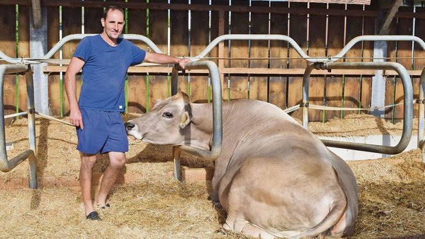Alwin Stoller hält seine Kühe in Tiefboxen. Sämtliches Stroh geht in die Güllegrube, dadurch hat er eine dicke Gülle.
