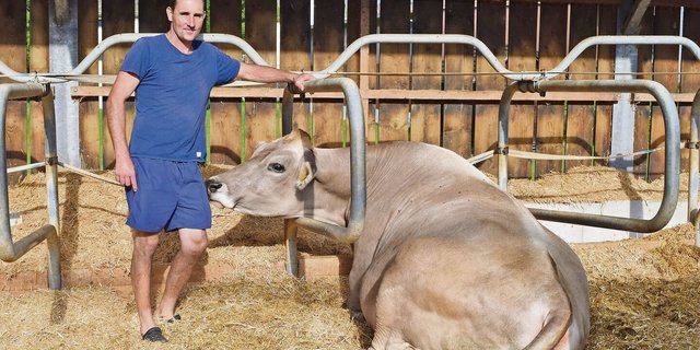 Alwin Stoller hält seine Kühe in Tiefboxen. Sämtliches Stroh geht in die Güllegrube, dadurch hat er eine dicke Gülle.