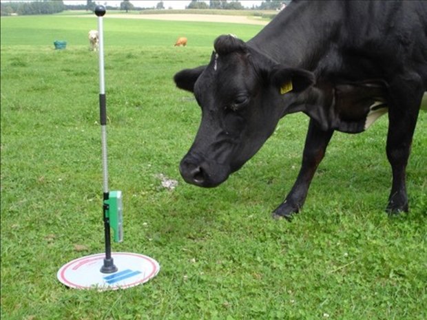 Der Einsatz des Rising Plate Meters hat sich bewährt. Die digitalisierte Version, der «Grasshopper», erleichtert das Weidemanagement zusätzlich durch die Nutzung eines GPS-Systems und die automatische Datenübertragung aufs Smartphone. (Bild HAFL)