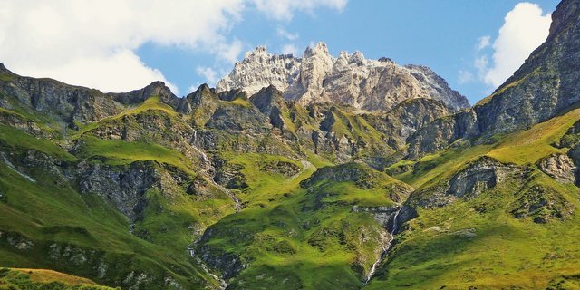 Das Rind wurde im Streifgebiet des Beverinrudels verletzt. (Bild Pixabay)