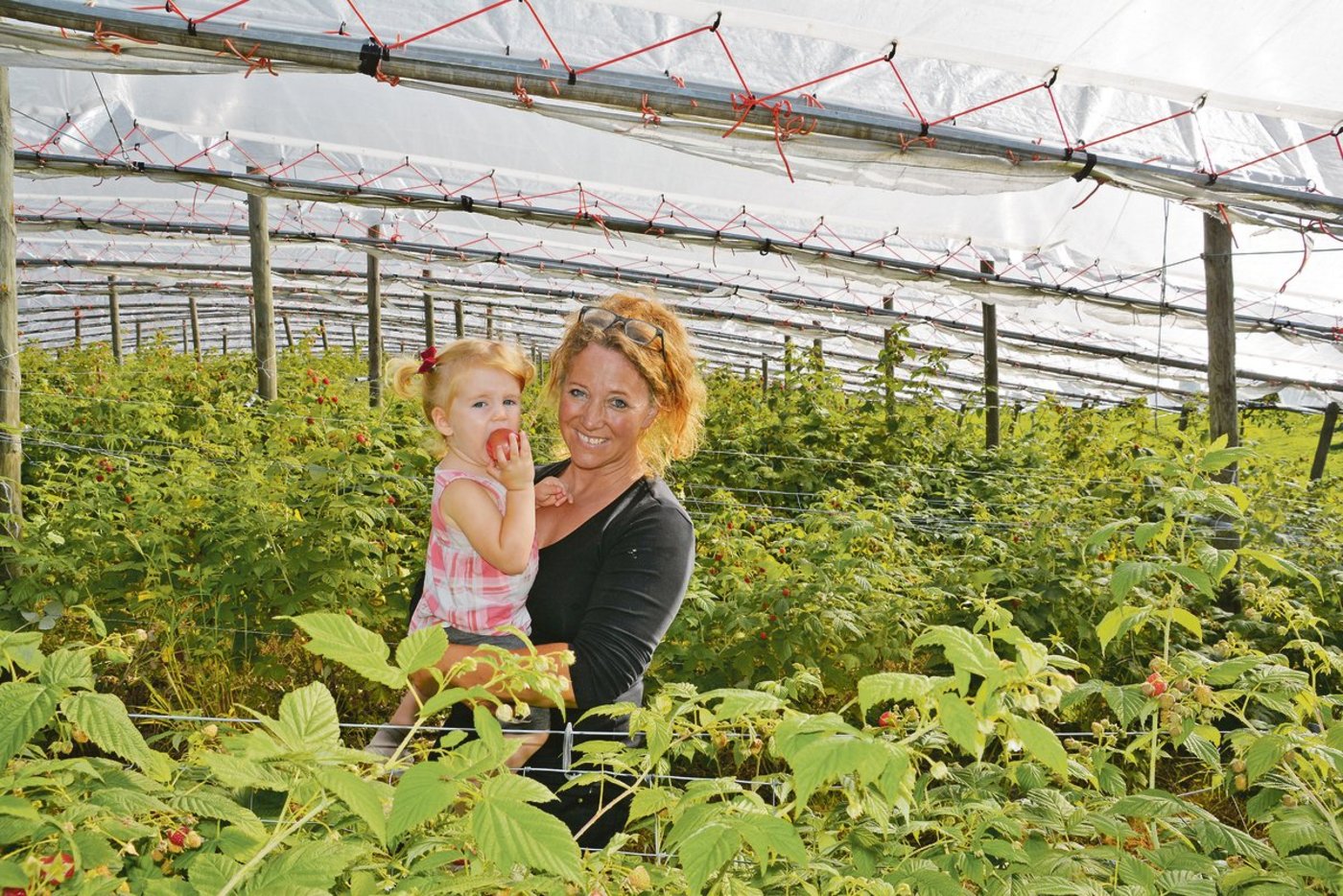 Ursula Bucher ist mit Tochter Lilly in der Himbeerenanlage. Lilly beisst gerade genüsslich in einen noch sauren Apfel, den sie unterwegs stibitzt hat. Ursula Bucher hat ihre Tochter oft dabei, wenn sie auf dem Hof unterwegs ist.(Bild Franziska Jurt)