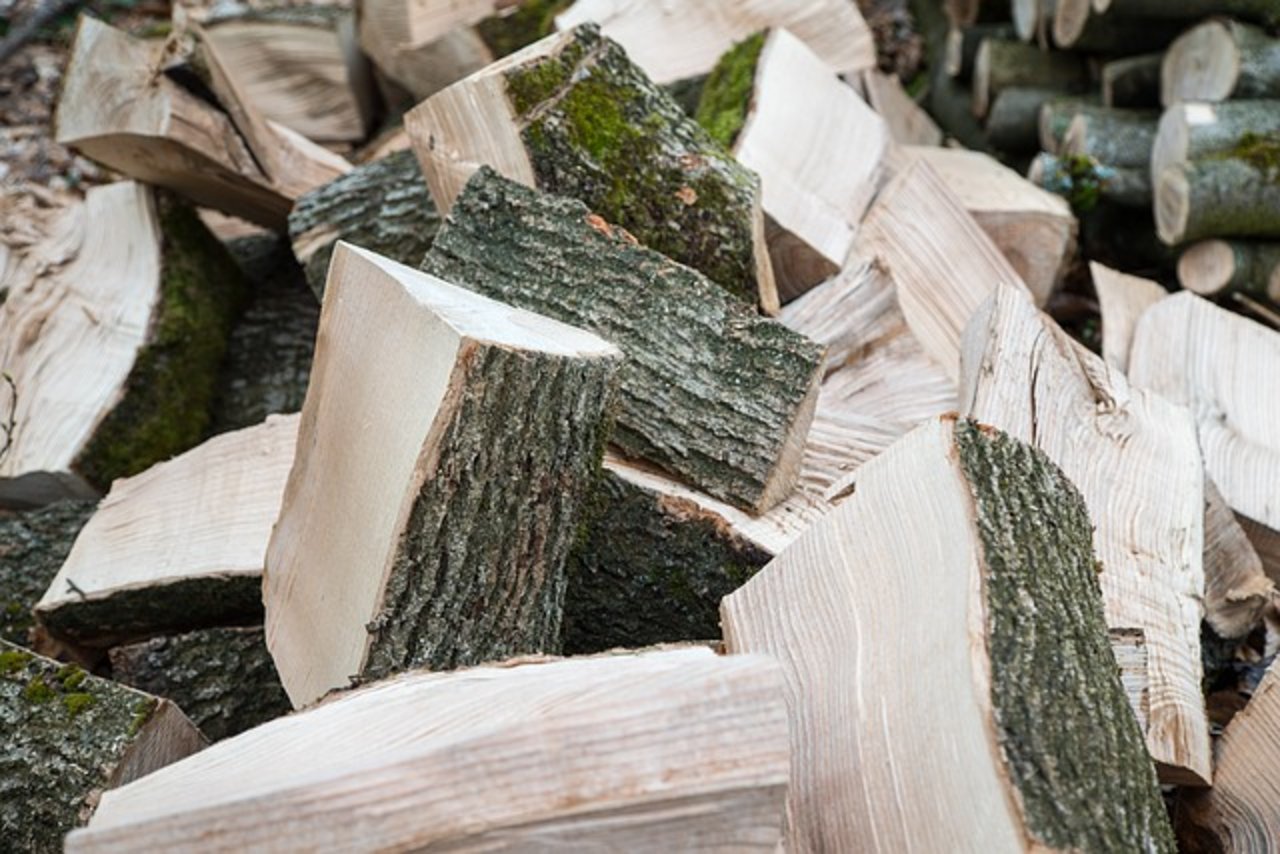 Eine bessere Ausnutzung der Holzenergie soll die Schweiz unabhängiger vom Ausland machen. (Bild Pixabay)