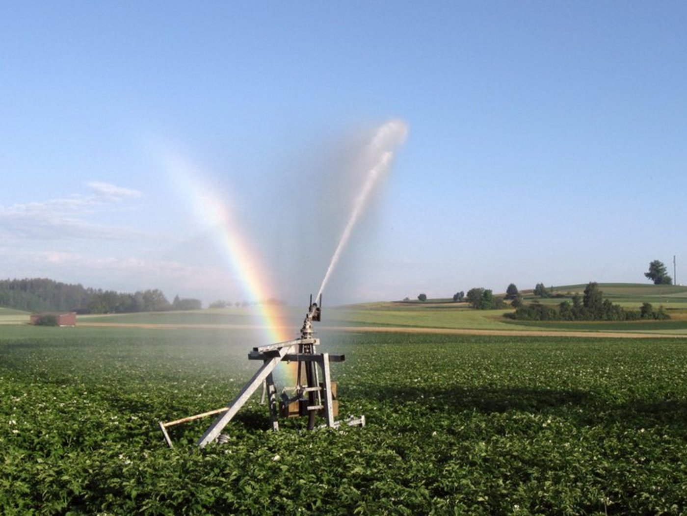 Wegen des Klimawandels müssen Bauern künftig ihre Kulturen womöglich vermehrt bewässern. (Bild Marcel Langthim/landwirtschaft.ch)