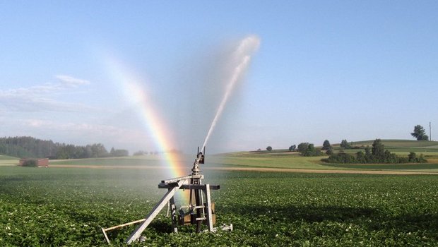 Wegen des Klimawandels müssen Bauern künftig ihre Kulturen womöglich vermehrt bewässern. (Bild Marcel Langthim/landwirtschaft.ch)