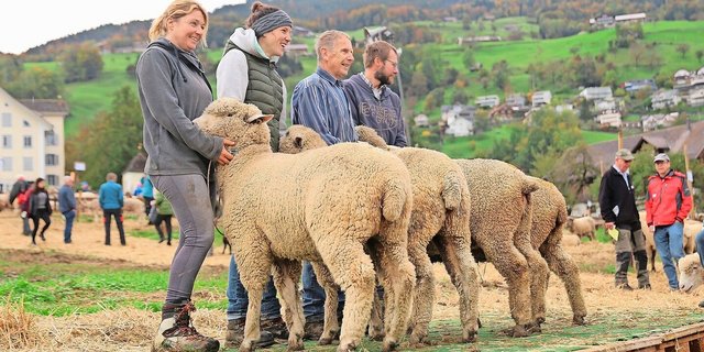 Frau, Mann und Schaf präsentierten sich an der Kleinviehschau in Schwyz auf dem Laufsteg.