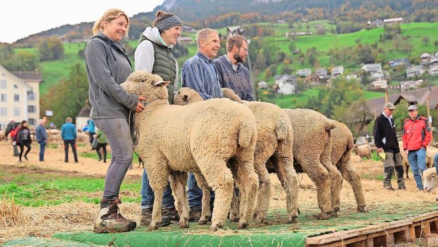 Frau, Mann und Schaf Frau, Mann und Schaf präsentierten sich an der Kleinviehschau in Schwyz auf dem Laufsteg.