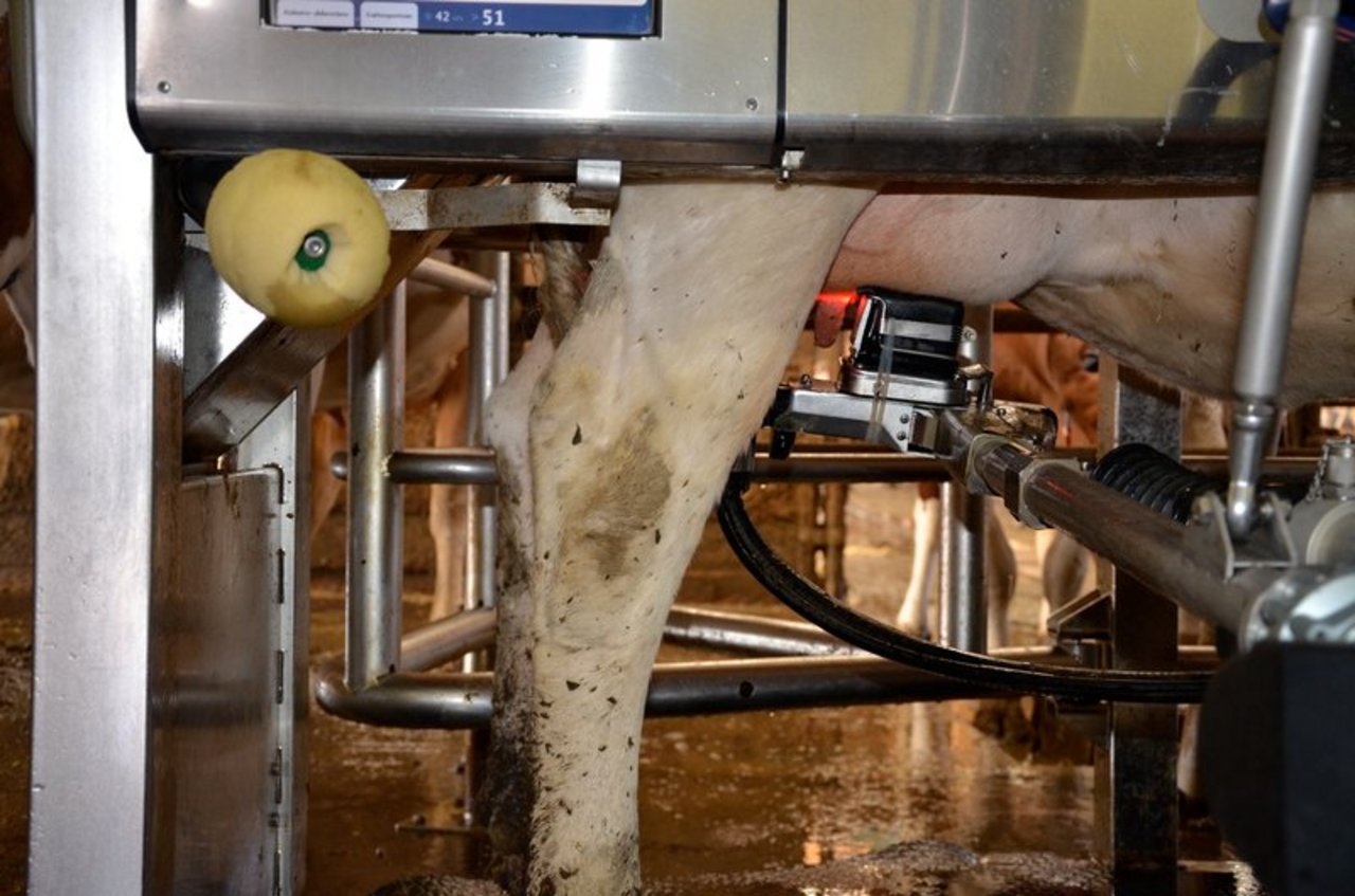 Auf den zweiten Blick hat sich auf dem internationalen Milchmarkt einiges getan. (Bild BauZ)