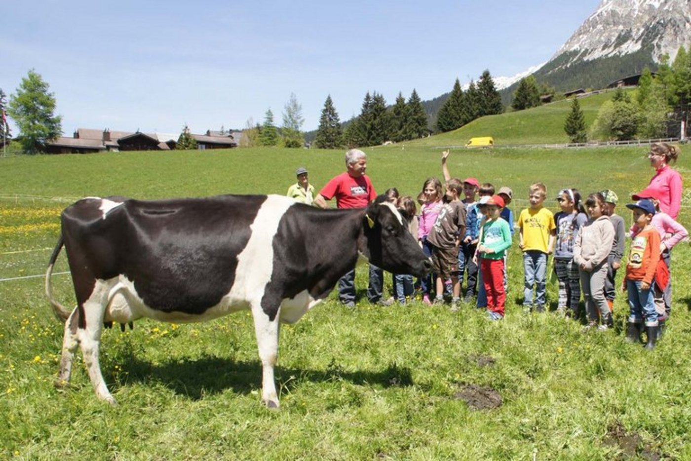 Kinder sollen mehr über Landwirtschaft und die Tätigkeiten der Bauernfamilien lernen. (Bild lid)