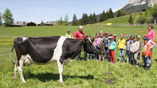 Kinder sollen mehr über Landwirtschaft und die Tätigkeiten der Bauernfamilien lernen. (Bild lid)